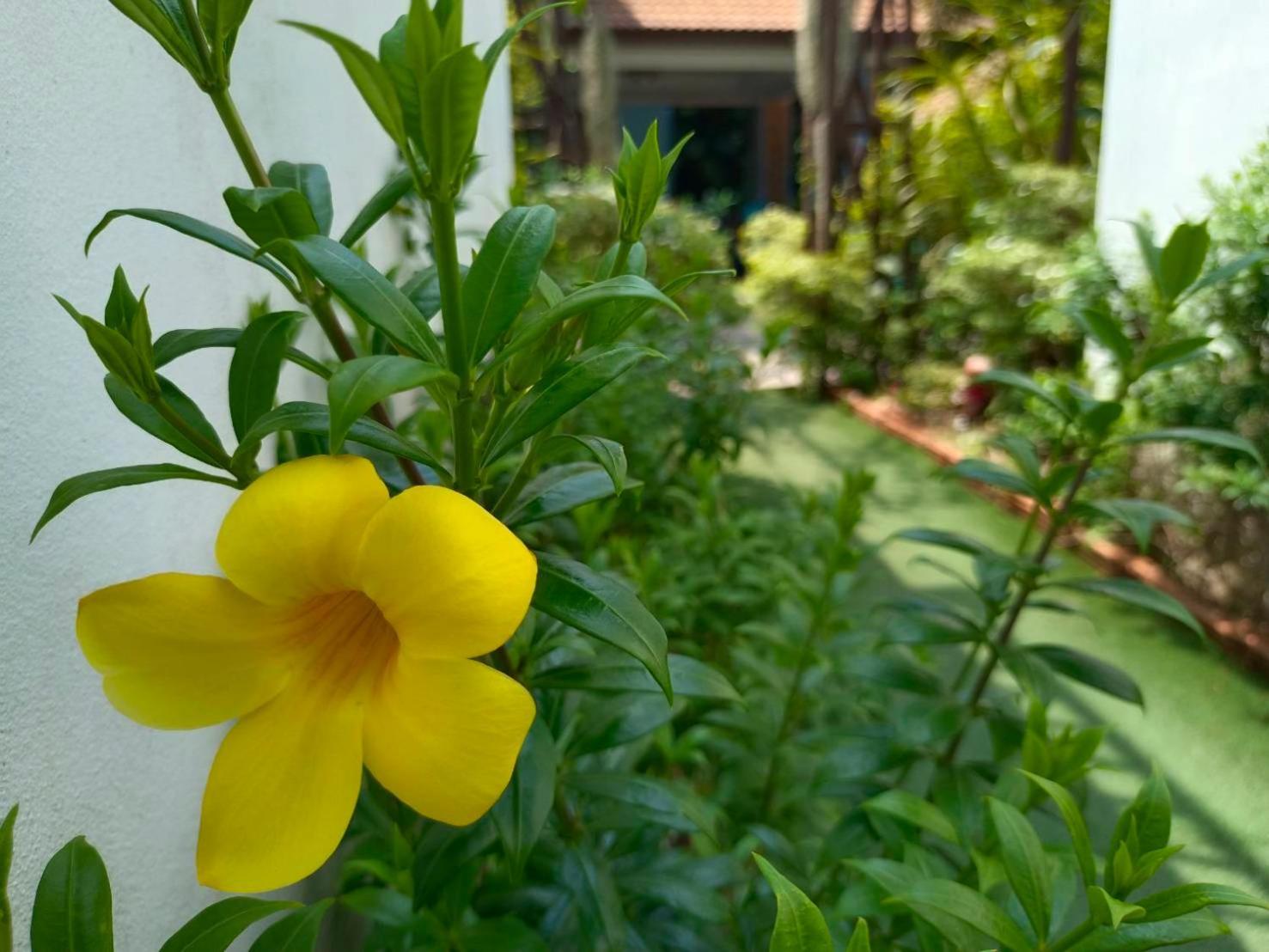 Phannarai House شاطئ لاماي المظهر الخارجي الصورة